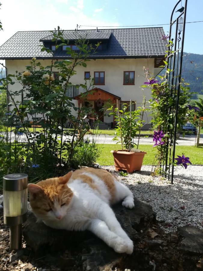 Lasserhof Aigen im Ennstal Exteriér fotografie