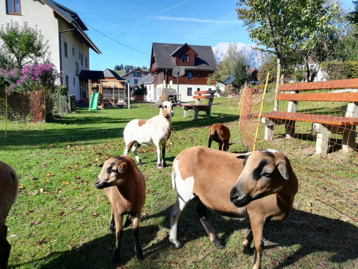 Lasserhof Aigen im Ennstal Exteriér fotografie